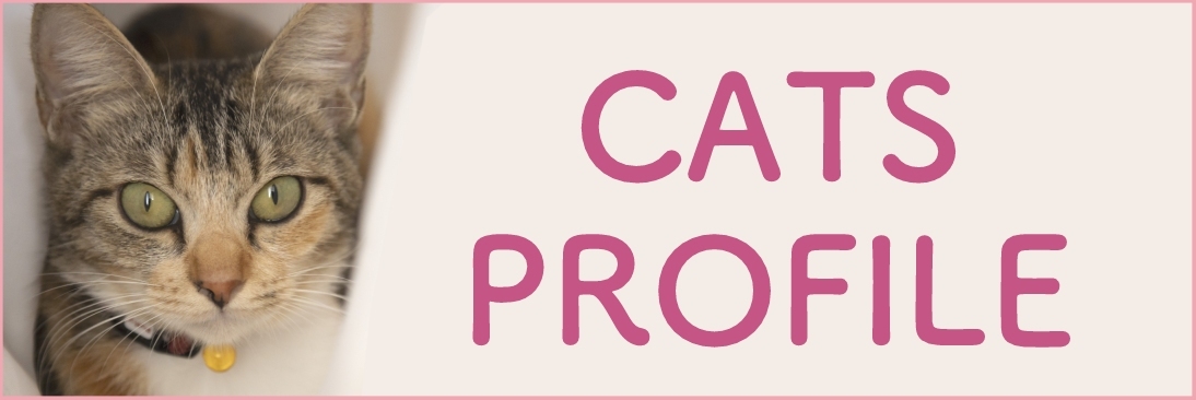 CATS PROFILE