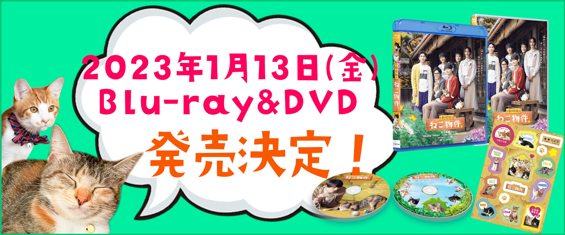 Blu-ray＆DVD 2023年1月13日（金）発売決定！